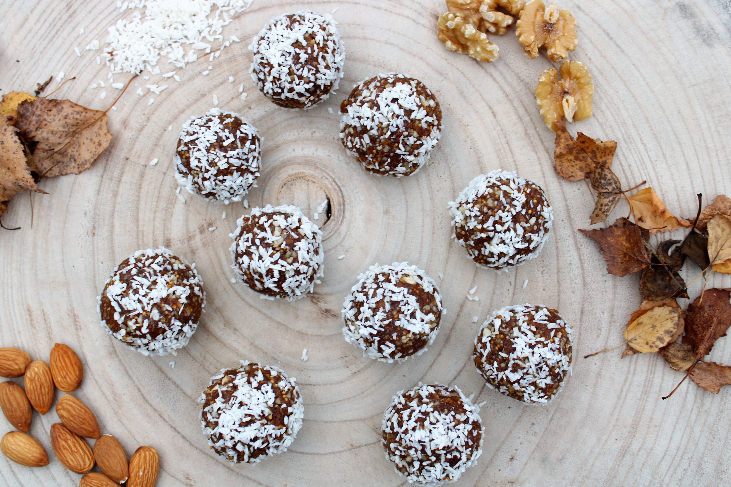 fig balls 3 (2)